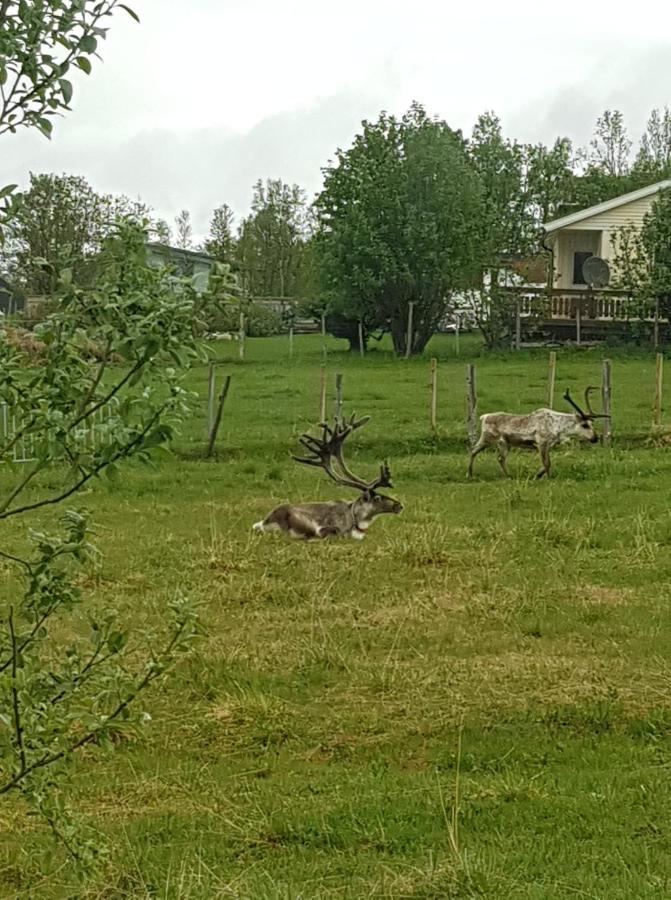 Nydelig Utsikt, Egen Leilighet Med To Parkeringer Movik  Exteriör bild