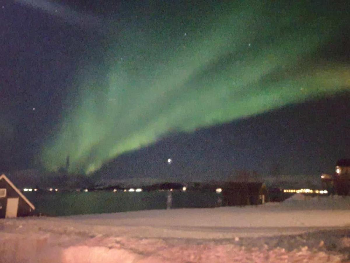 Nydelig Utsikt, Egen Leilighet Med To Parkeringer Movik  Exteriör bild